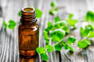 Ways To Get Rid of Ants Naturally