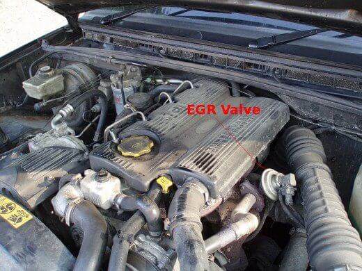 Locate The EGR Valve