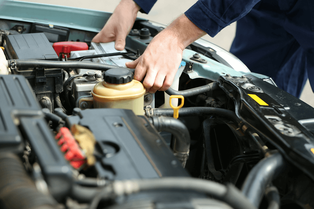 Check the engine bay, oil and transmission dipstick