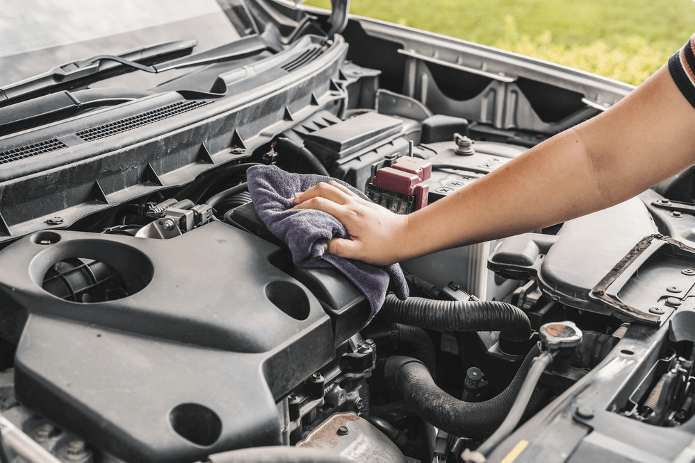 Remove standing or loose dirt and grease before washing the motor