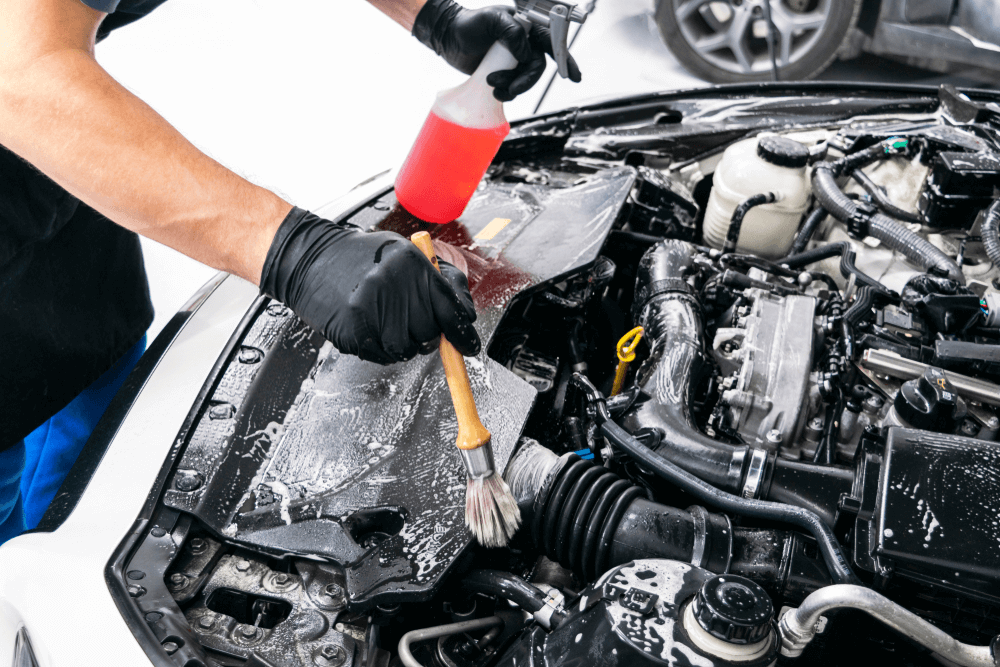 Spray the cleaner and brush each component lightly